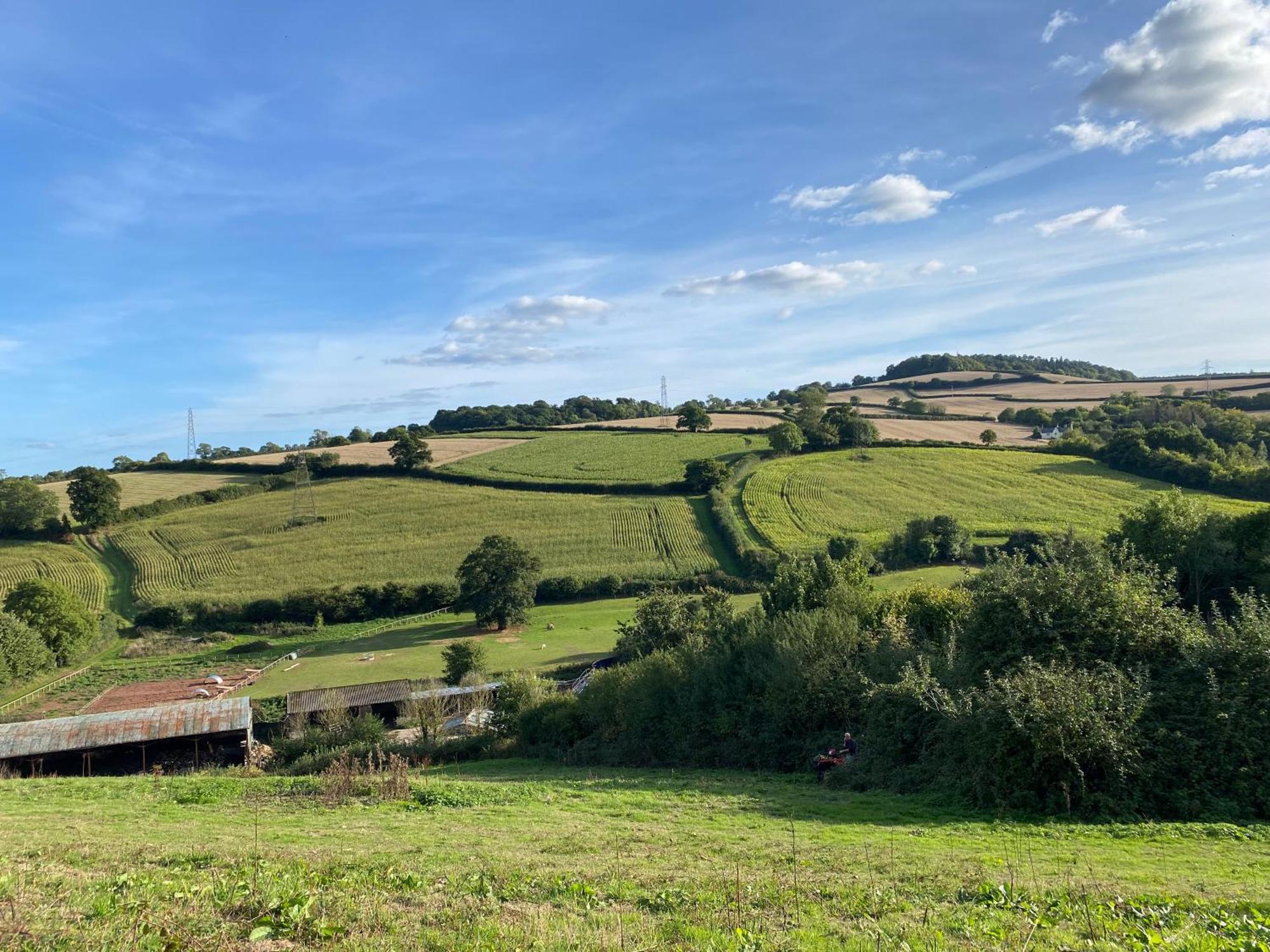 Langdon Barton Farm - Country Отель типа 